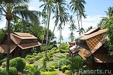 Coconut Sands 15